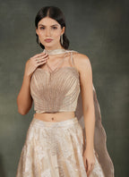 Twilight Lehnga